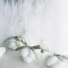 Load image into Gallery viewer, Organza Sugar Almonds Bomboniere